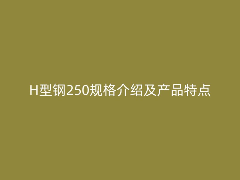 H型鋼250規(guī)格介紹及產(chǎn)品特點