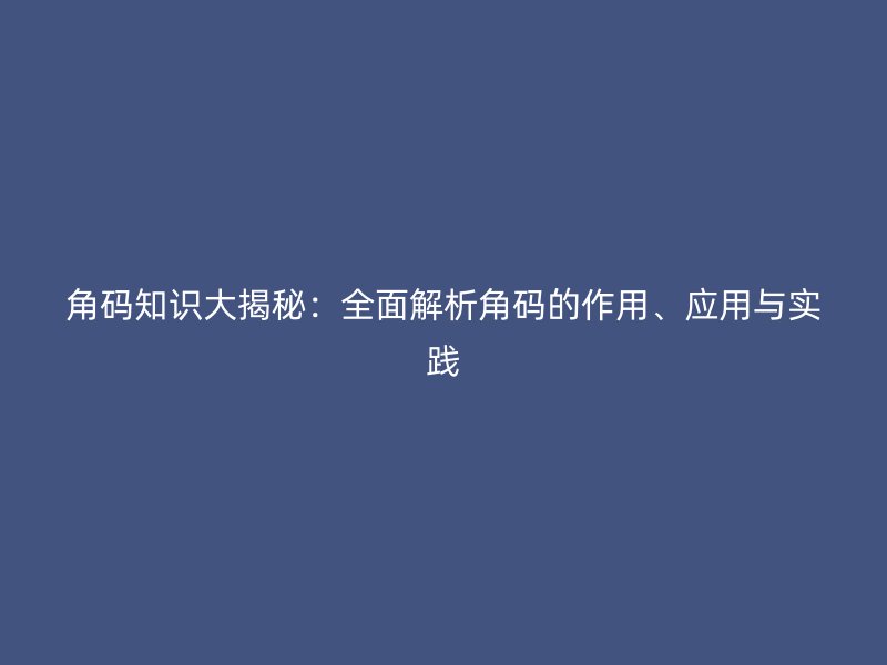 角碼知識(shí)大揭秘：全面解析角碼的作用、應(yīng)用與實(shí)踐