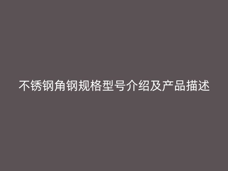 不銹鋼角鋼規(guī)格型號介紹及產(chǎn)品描述