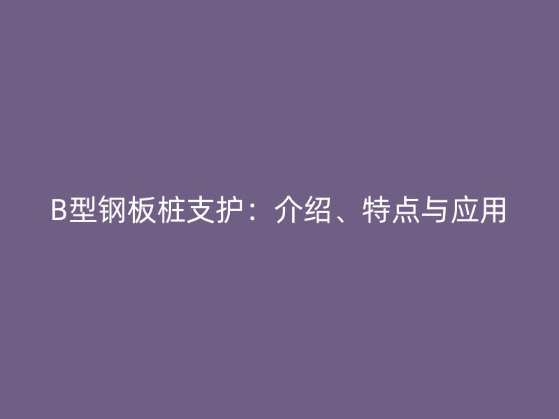 B型鋼板樁支護(hù)：介紹、特點(diǎn)與應(yīng)用